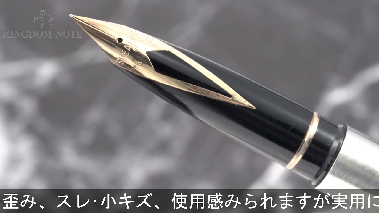 SHEAFFER シェーファー 万年筆 タルガ 1001xg ブラッシュトステンレス