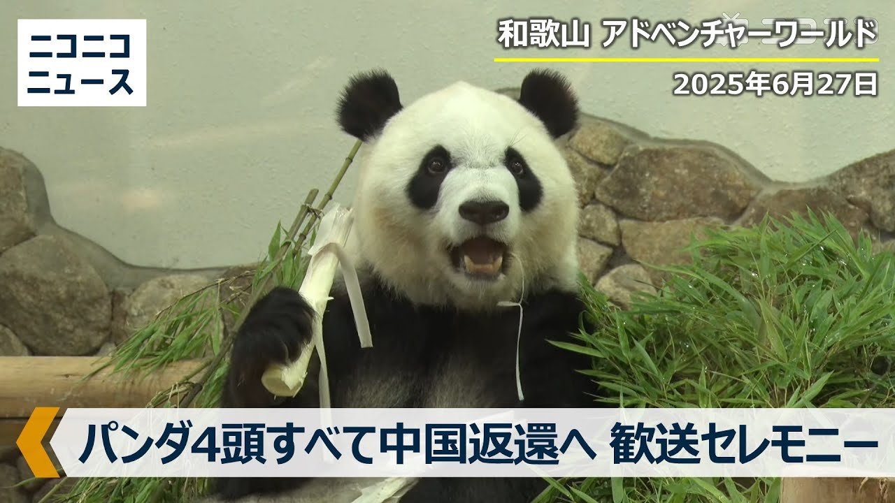ジャイアントパンダ4頭すべて中国返還 旅立ち前日の様子をお届け in
