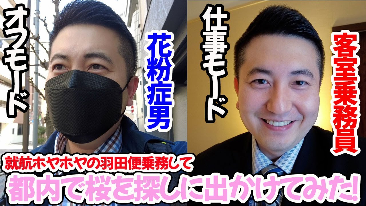 超レア入手困難！航空ファンやこれからCAになる方へ！CA(客室乗務員)