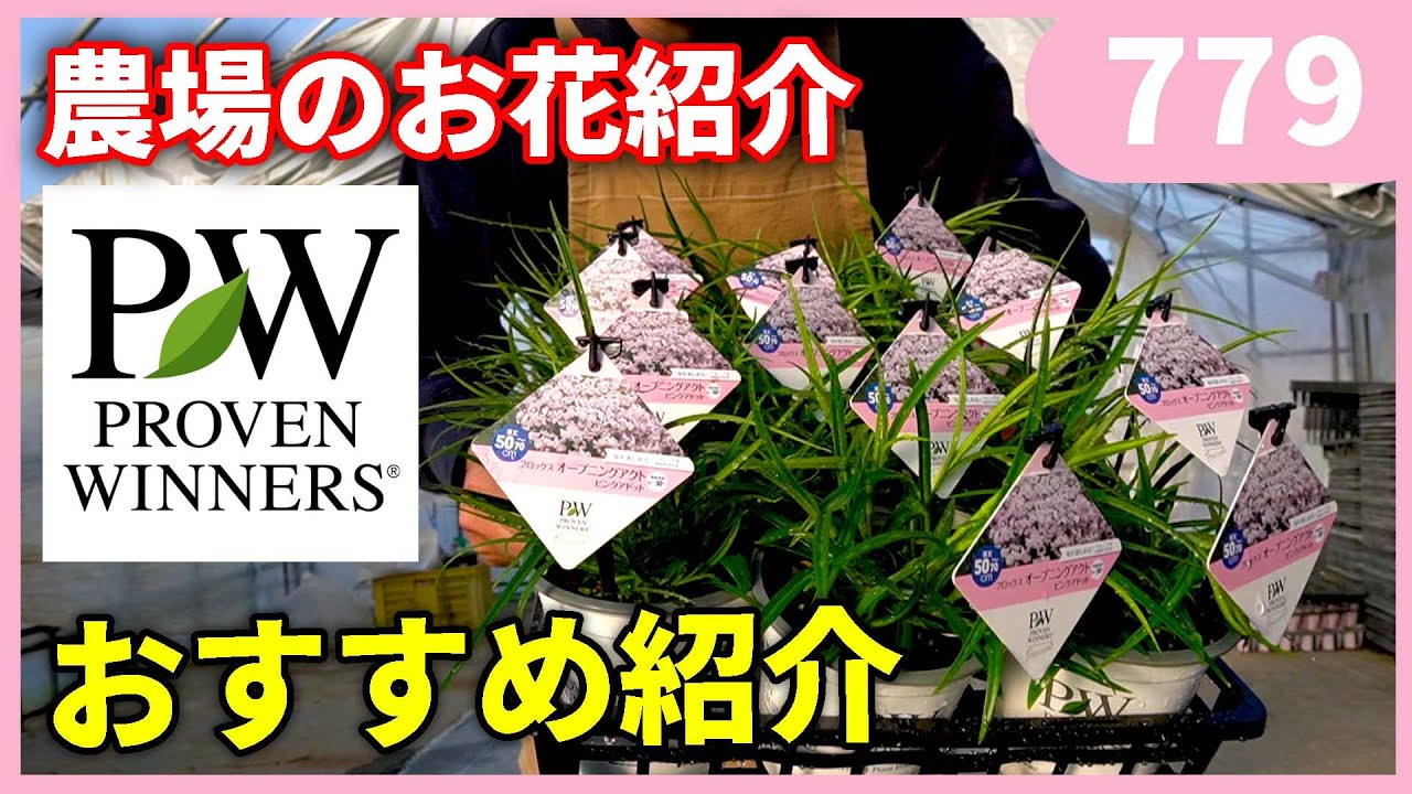 花ページ 花 ページ 花 ページ ☆ 花 ☆ 花ページ Amazon.co.jp: ZX