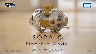 SORA-Q Flagship Model で月面探査を体験しよう！ - YouTube