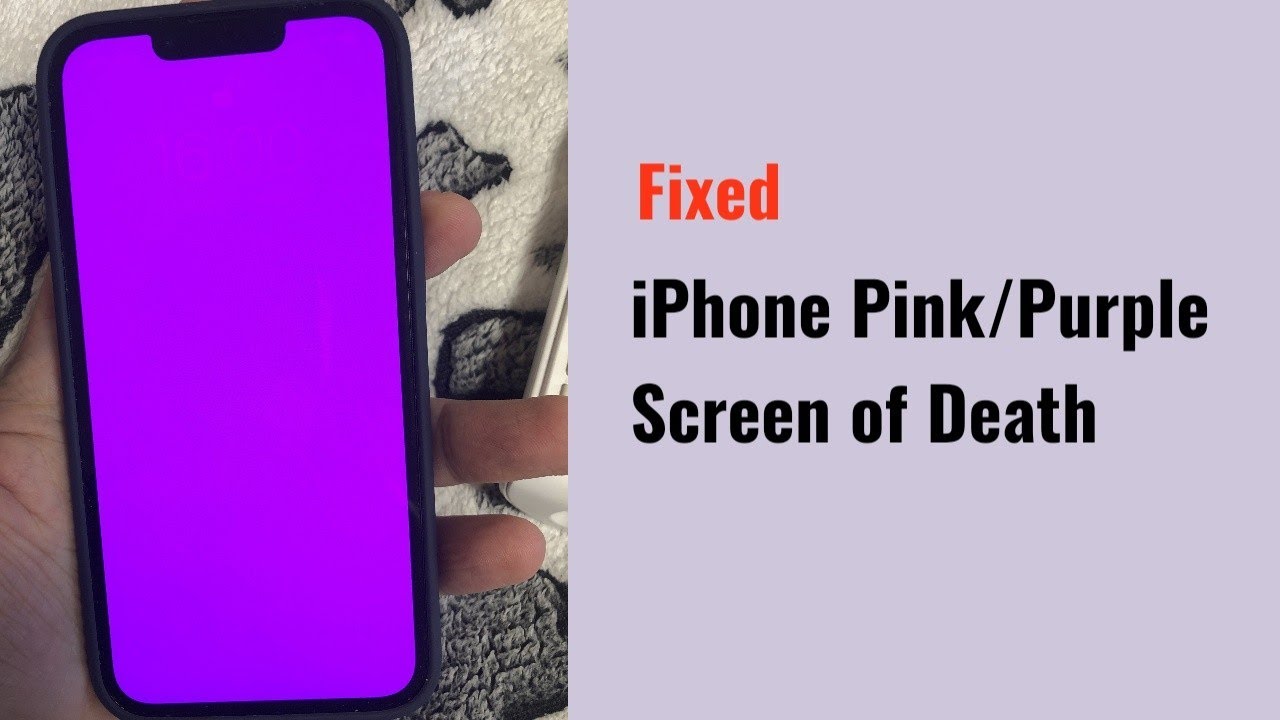 How to Fix iPhone 12, 13 & 14 Pink/Purple Screen of Death? - YouTube