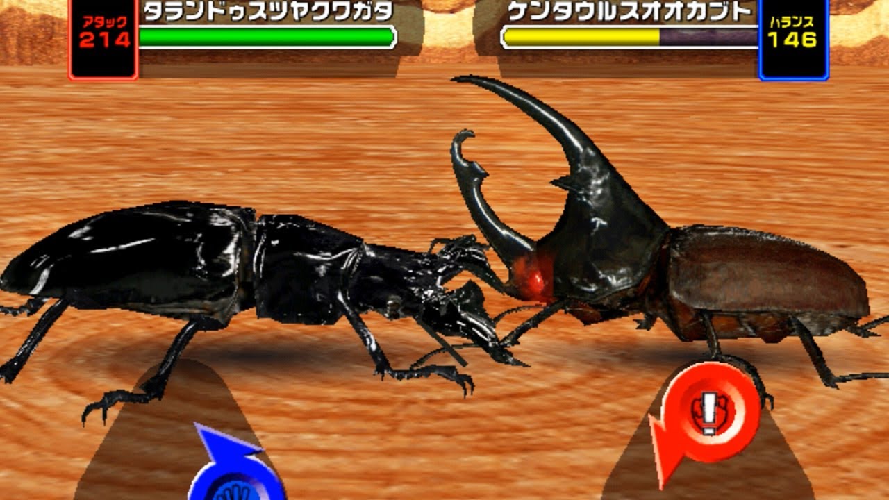 ネプチューンオオカブト タランドゥスツヤクワガタ アダー完結編