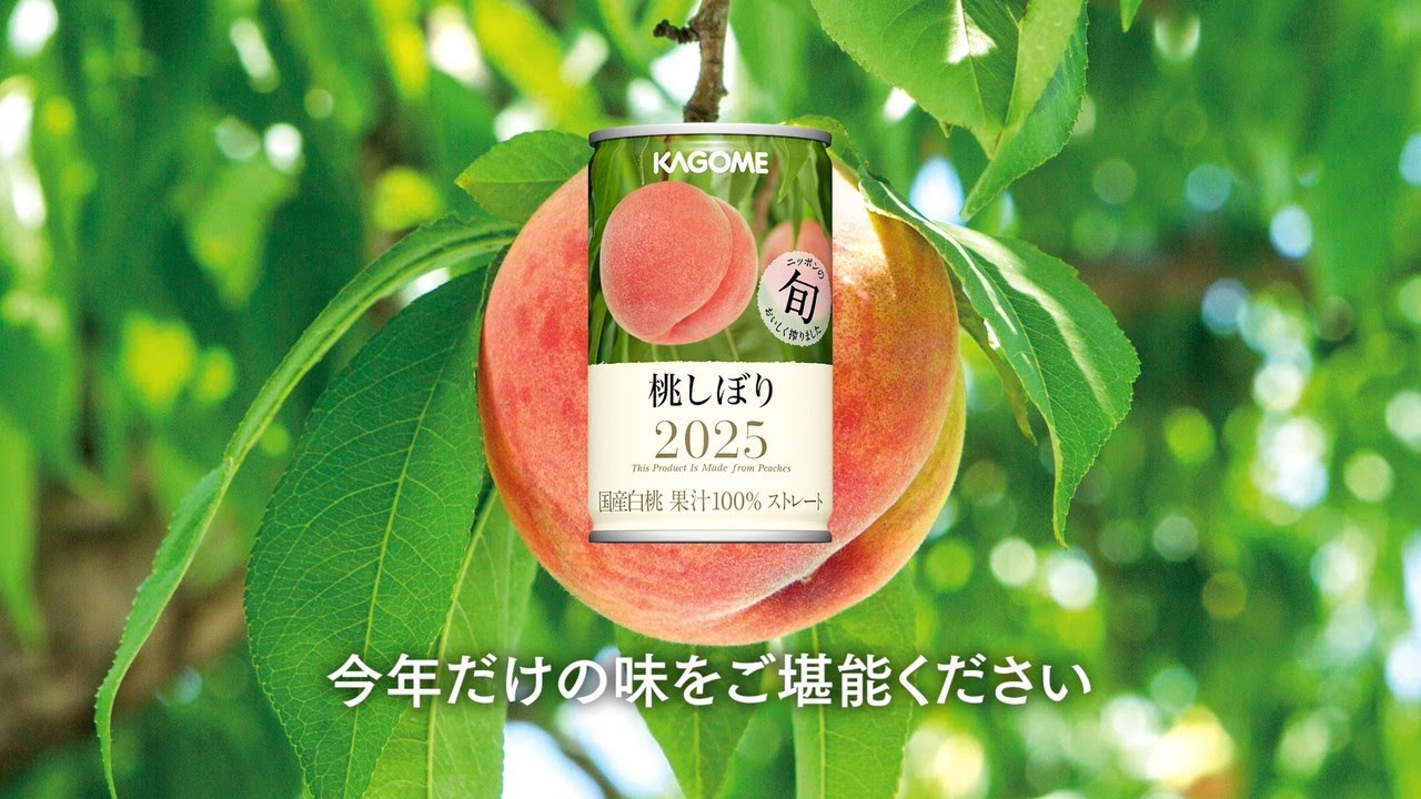 KAGOME カゴメ 桃しぼり2024／2ケース（60缶）① 楽天市場】カゴメ 桃