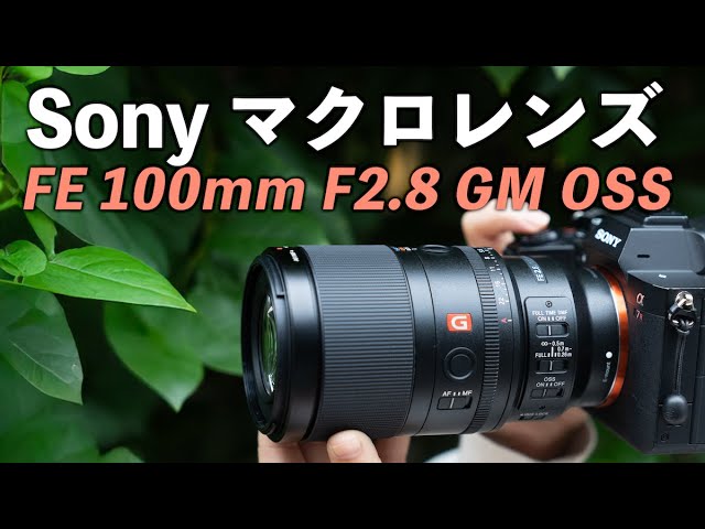 α:FE 100mm F2.8 Macro GM OSS 製品レビュー by もろんのん氏【ソニー