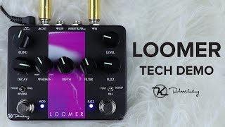 keeley Loomer [Shoegazer Sound]（キーリー）ファズ リバーブ