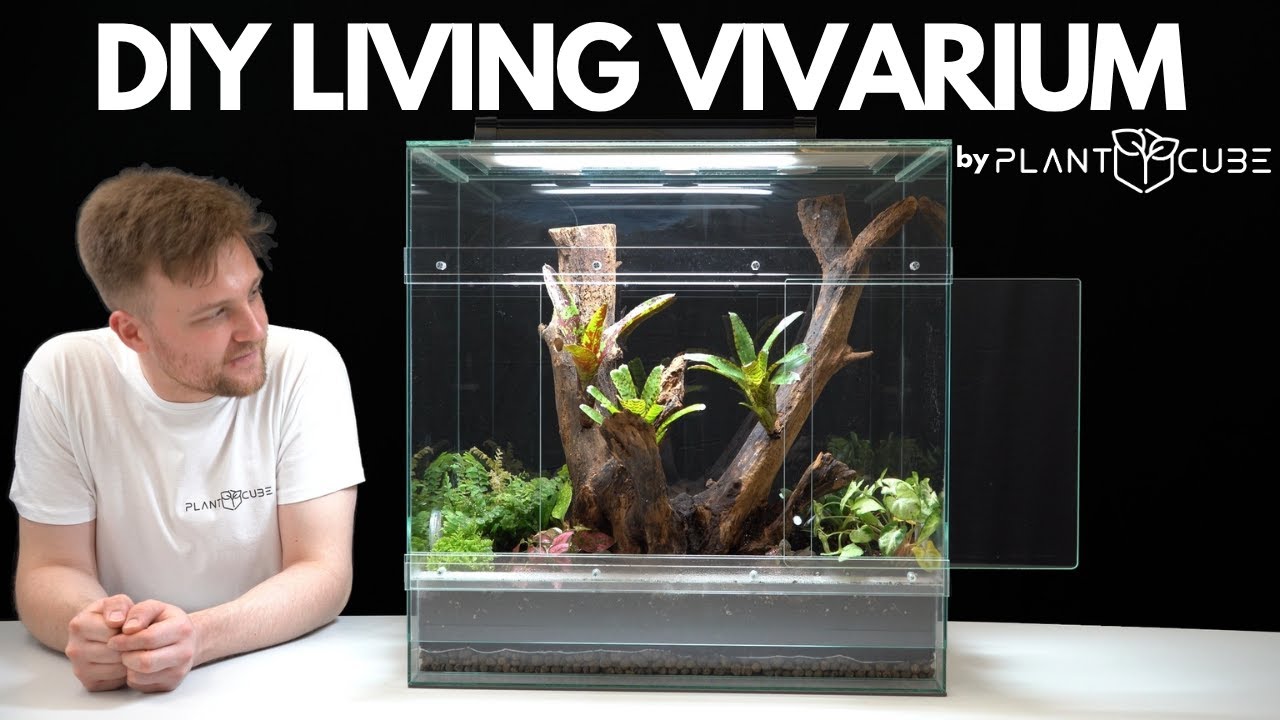 PLANTCUBE ビバリウム - ANTCUBE