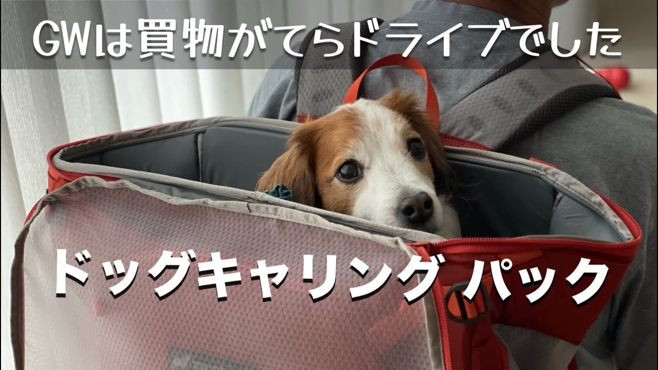 GWは買物がてらドライブ♪モンベルでドッグキャリングパックを買っ