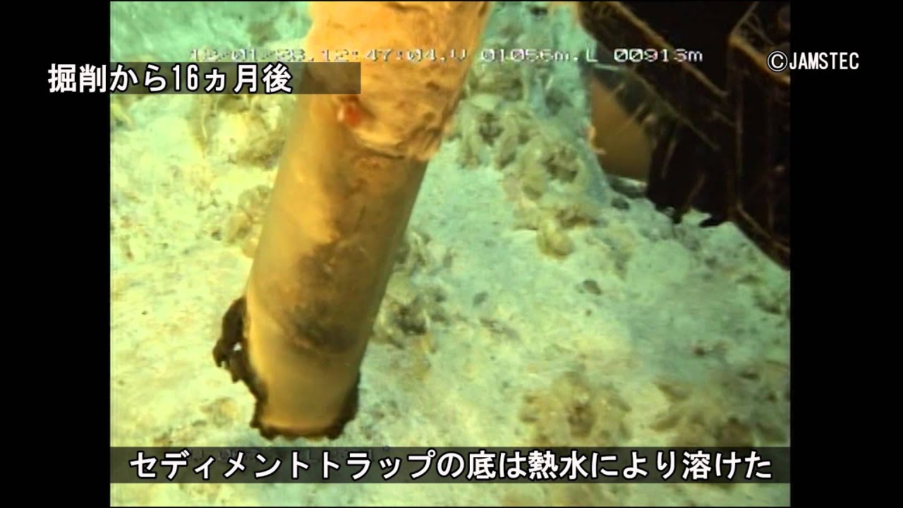 maxresdefault.jpg?sqp=-