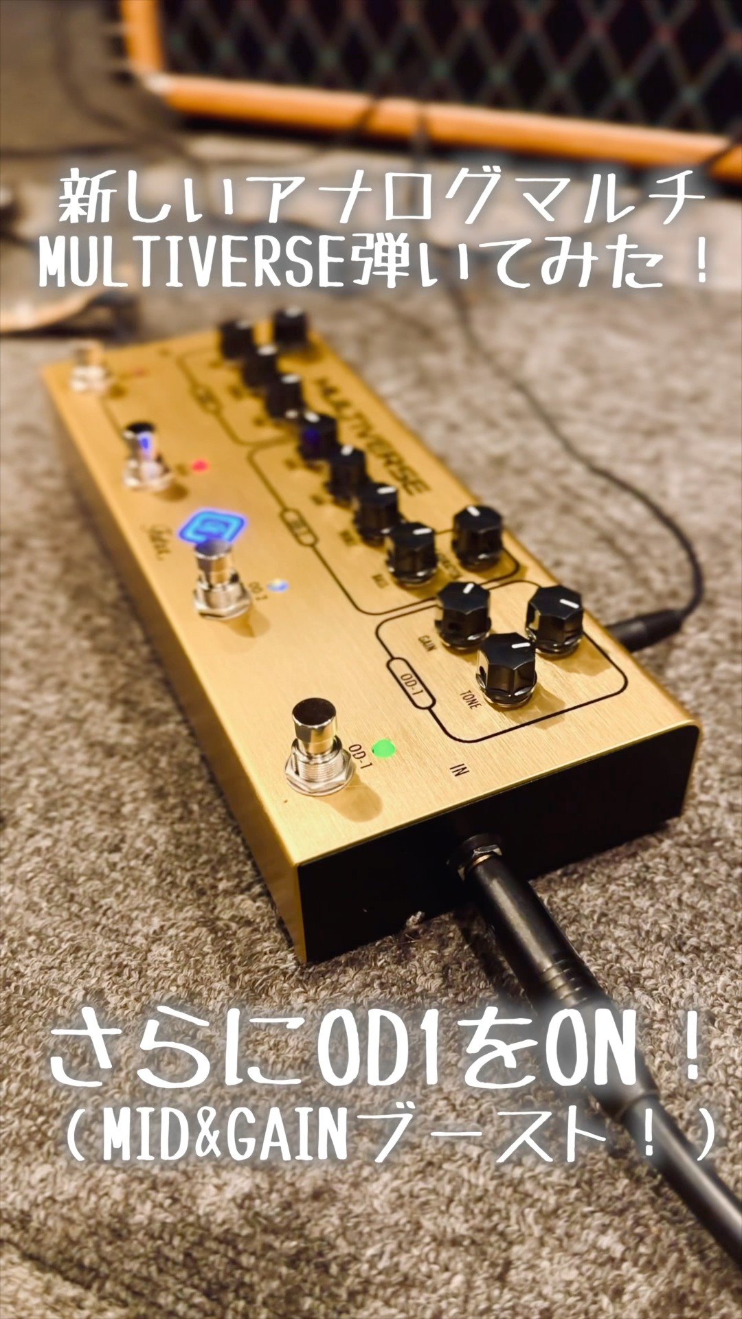 Futra MULTIVERSE エフェクター 新型アナログマルチエフェクターを弾い