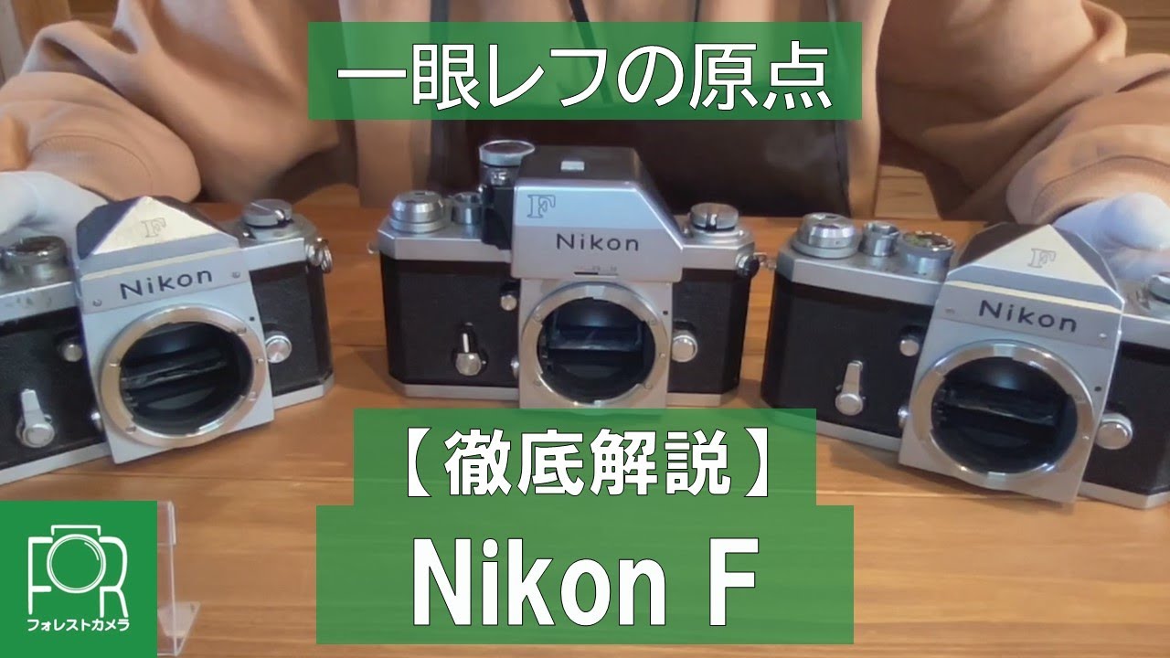 Complete Guide] Differences and Features of the Early, Mid, and