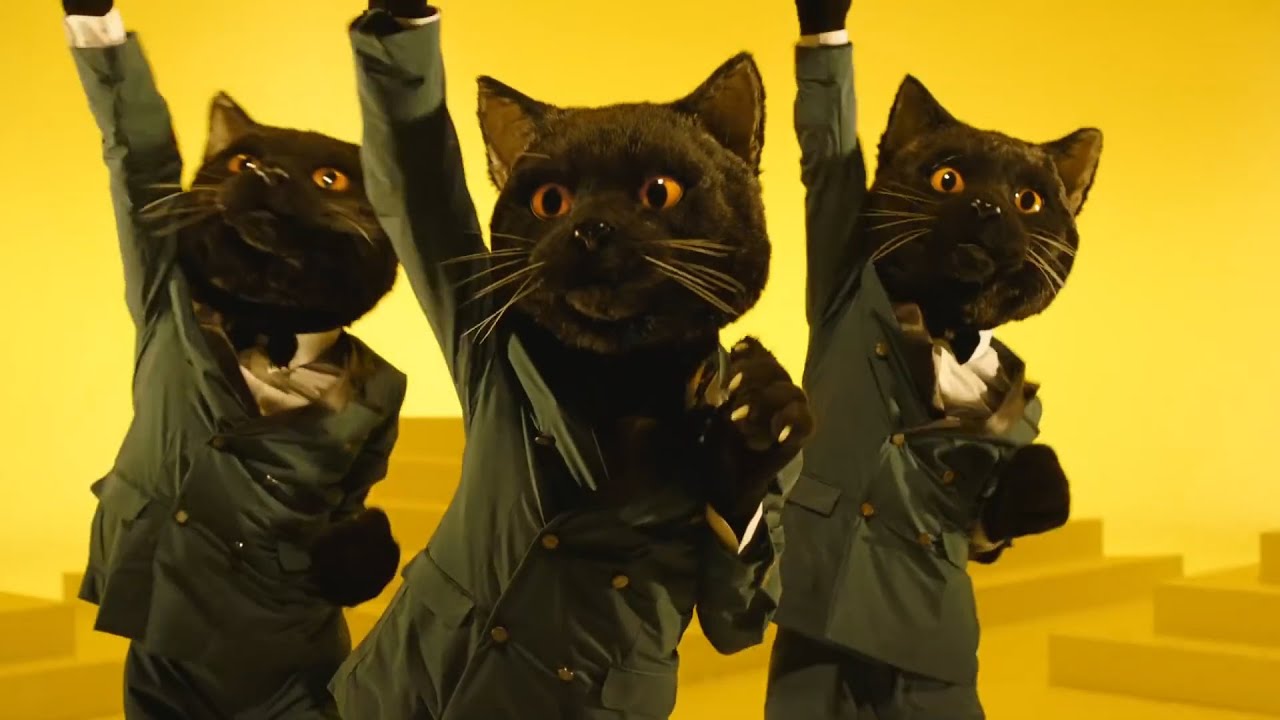 ネコふんじゃった」がダンスミュージックに！美女ネコ軍団も踊る