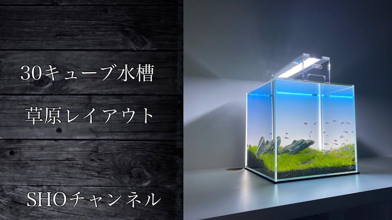 ADA 30cm水槽セット ADA 30キューブ水槽セット 30センチ水槽セット ADA