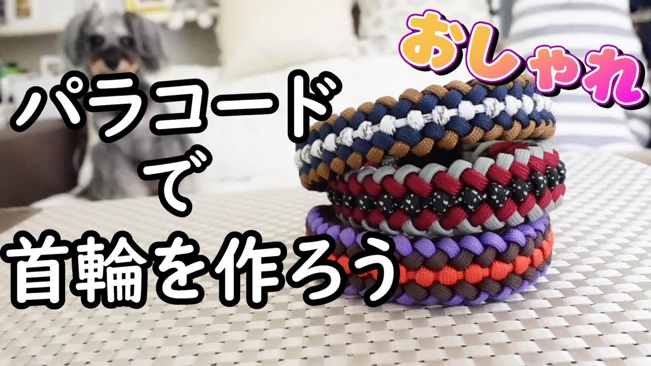 愛犬に手作り首輪 [DIY][ペット][ドッグカラー][dog collar][paracord
