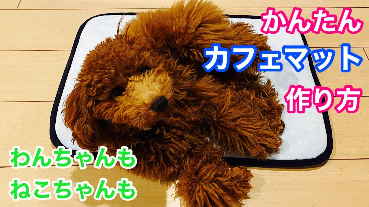 カフェマット】ワンちゃん・ねこちゃん用カフェマットの作り方 - YouTube
