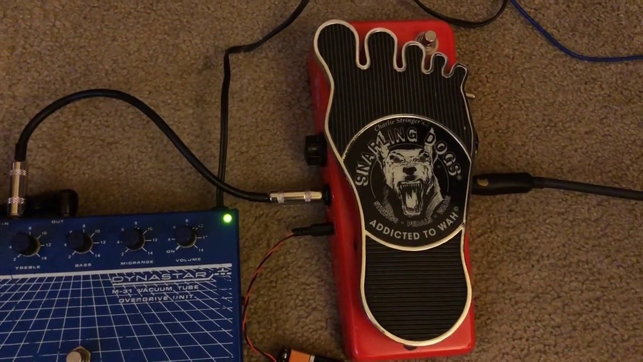 Dynastar M-31 & Snarling Dogs Whine-O-Wah - YouTube