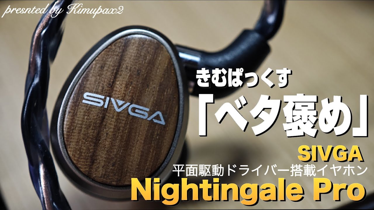 The Best Earphones of 2025] SIVGA 