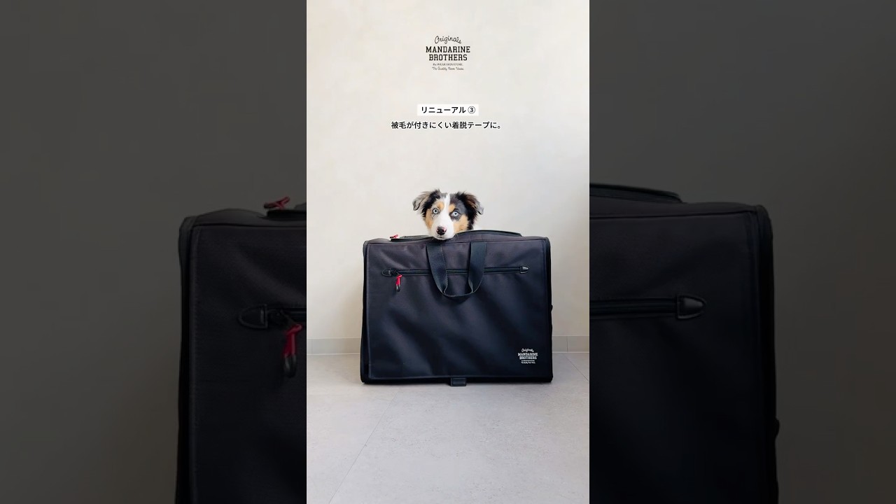 ニ*ン様 MandarineBrothers ブラックキャリーバッグ Lサイズ MANDARINE