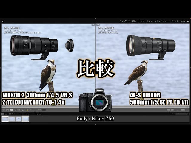 描写比較】445×1.4と556の描写力を比較 - Z 400mm f/4.5 VR S × Z TC
