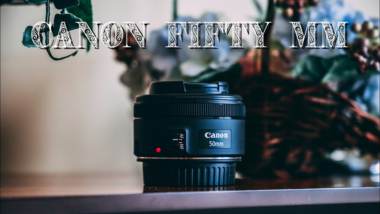 Canon 50mm 1.8 STM Review on a 6D mark II - YouTube
