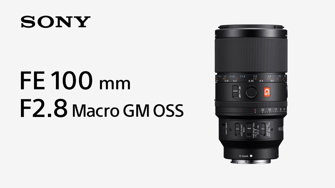 FE 100mm F2.8 Macro GM OSS | デジタル一眼カメラα（アルファ） | ソニー