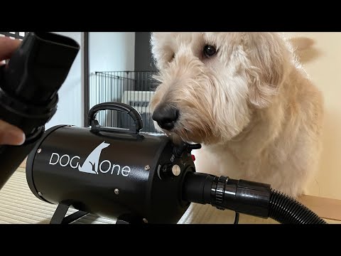 業務用トリミングドライヤー 業務用 ペットドライヤー＆ スタンド