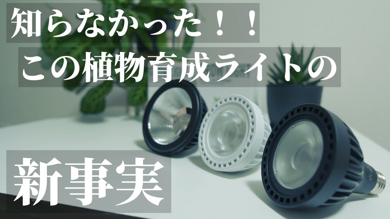 新事実】おすすめの植物育成ライト「GL-X」と「HASU38 Spec9」意外な