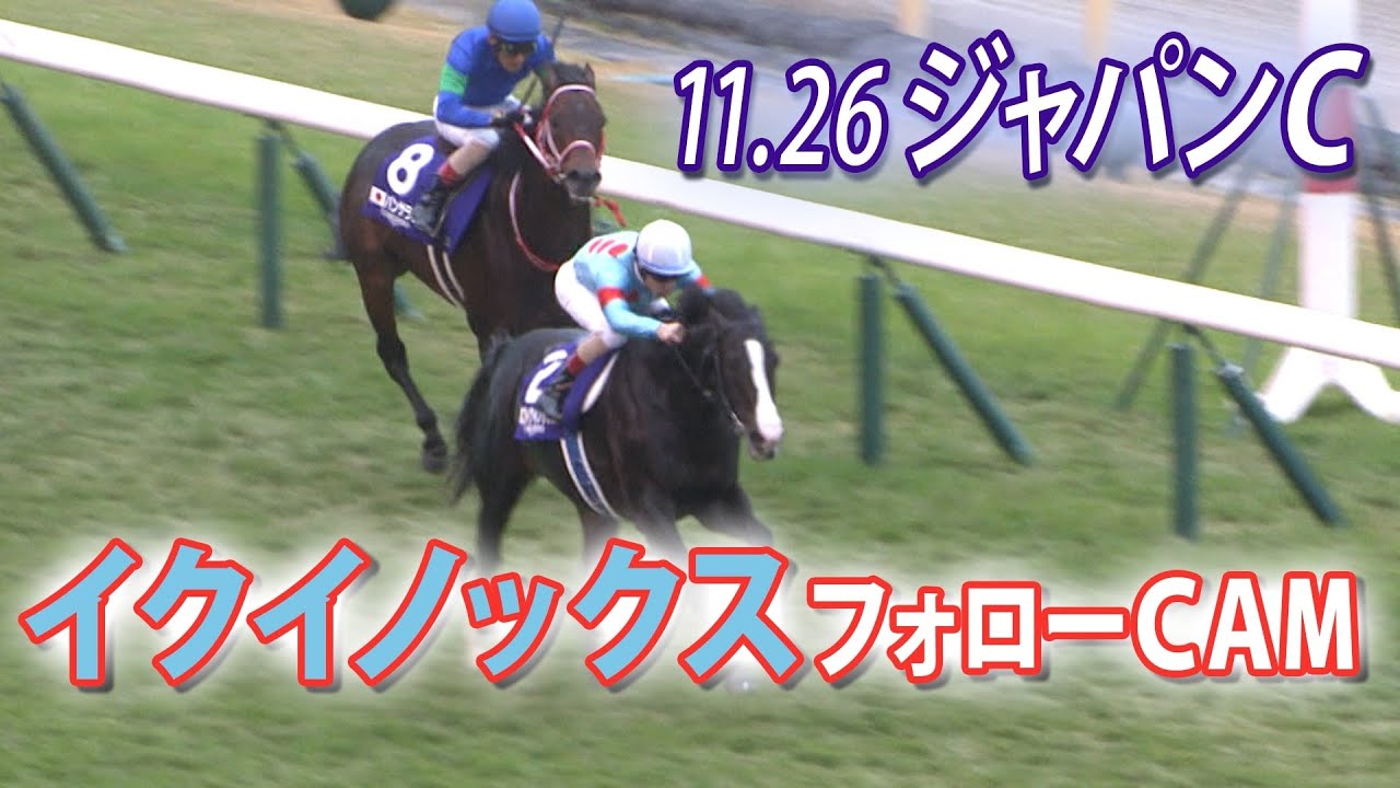 イクイノックス】実使用 蹄鉄 鬣 たてがみ 2023ジャパンカップ馬券 ①