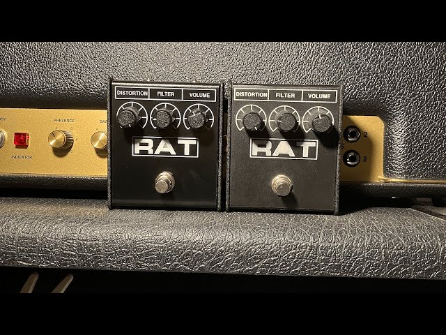 ProCo RAT2 2023 vs ProCo RAT2 2008(?) into Marshall 1987x. - YouTube