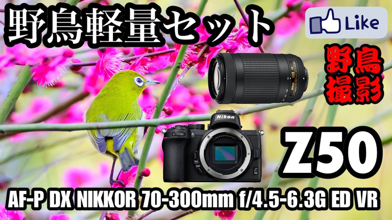 野鳥軽量セット】Z50×AF-P DX NIKKOR 70-300mm f/4.5-6.3G ED VR - YouTube