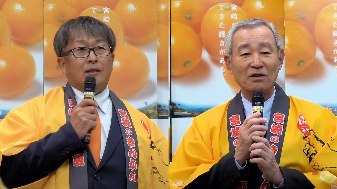 宮崎完熟きんかん『たまたま』トップセールス - 東京青果株式会社