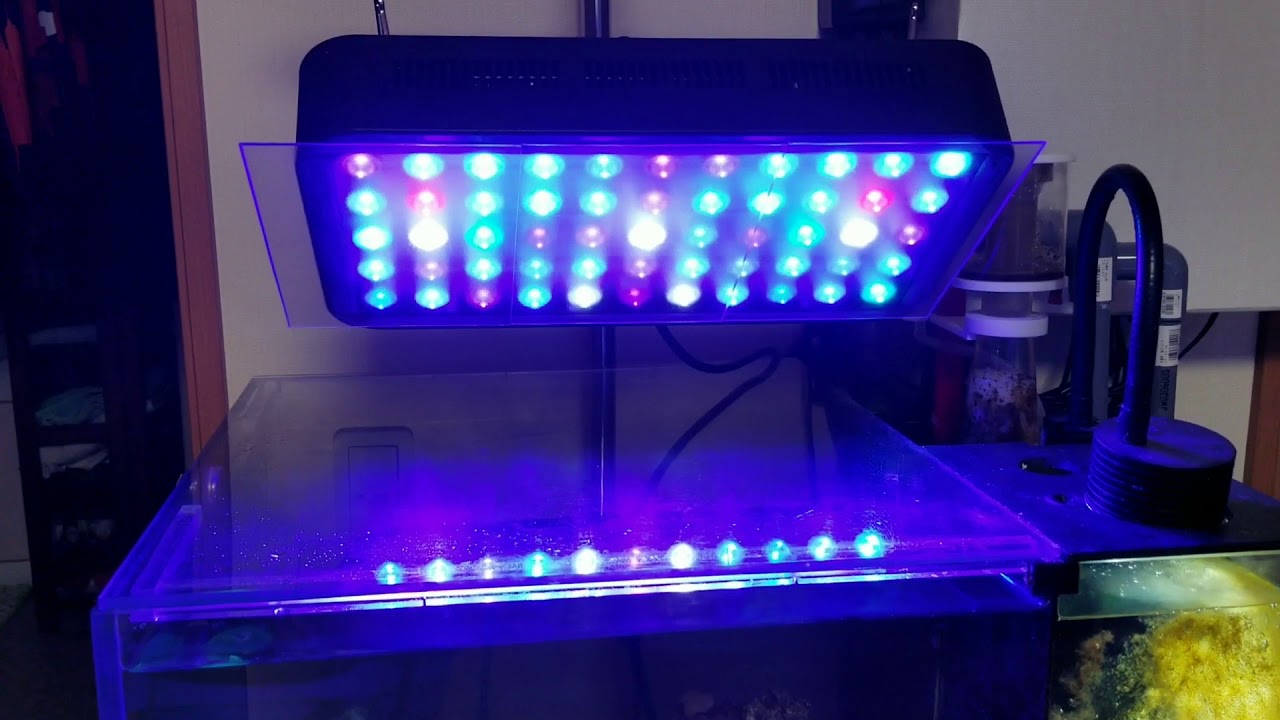 ブラックボックスLEDライト水槽照明