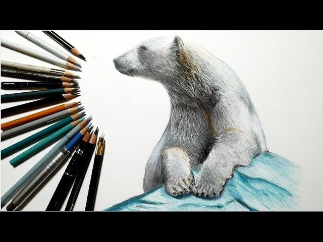 色鉛筆で白くまを描いてみた Realistic colored pencil drawing of a
