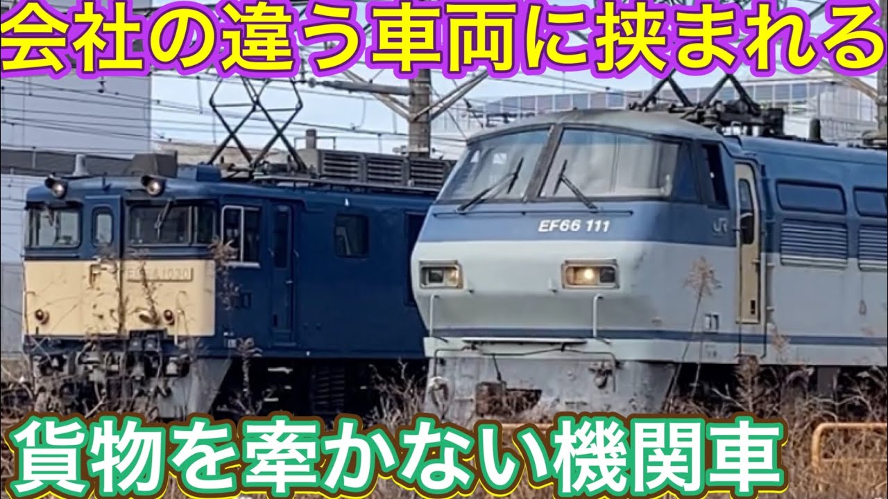 場違いのところに迷い込んだ？！帰ったはずの国鉄型が配置先とは逆方向