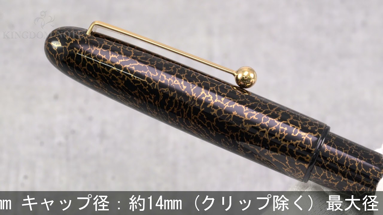 訳あり 【新品未使用】PILOT パイロット 蒔絵万年筆 漆 國光會 PILOT