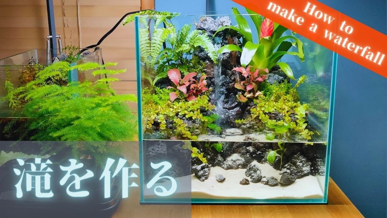アクアリウム＋テラリウムの作り方】初心者でもチャレンジできる滝