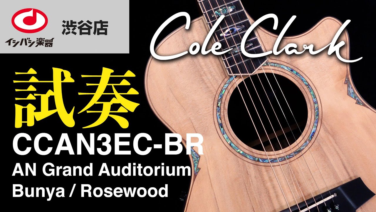 コールクラーク選びガイド】Cole Clark CCAN3EC-BR 試奏動画 特長
