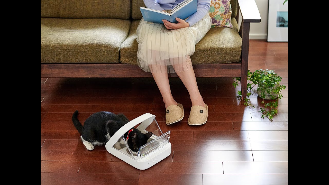 シュアーフィーダー マイクロチップ - YouTube