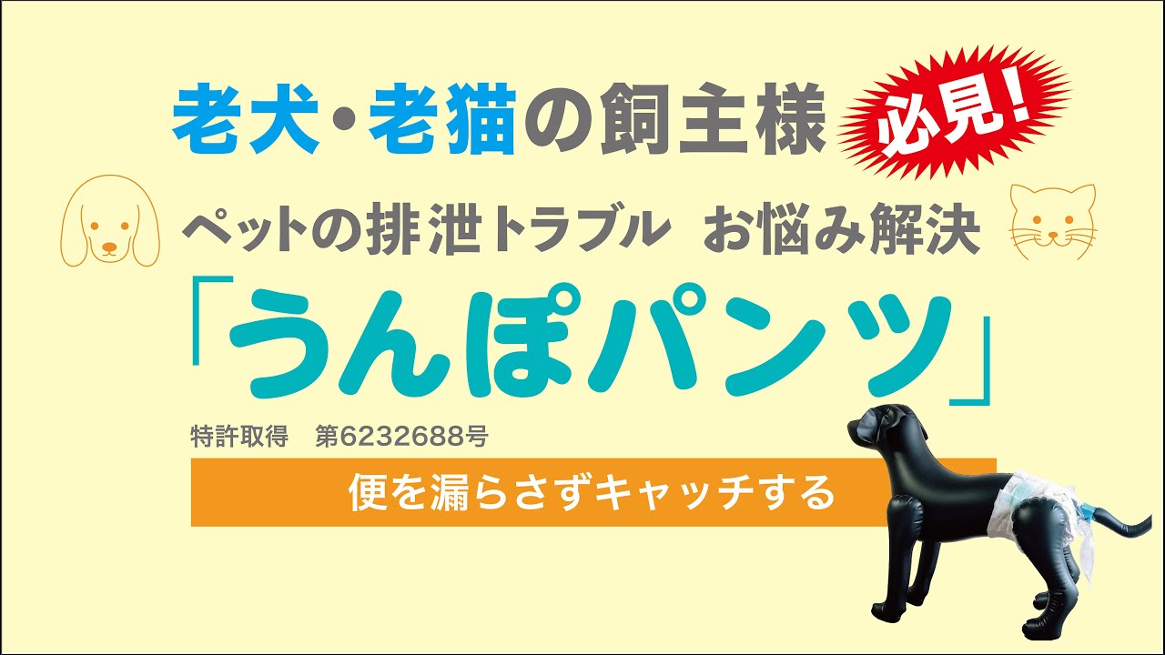 うんぽパンツ Sサイズ46枚 S】サイズ お試し6個入り ※送料無料 ※税込