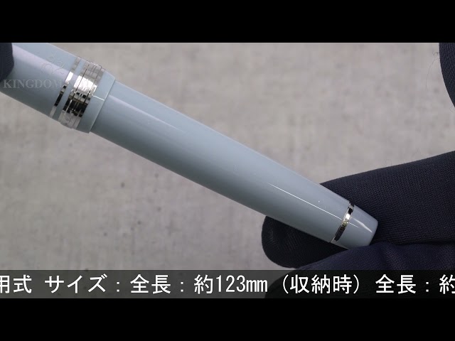 SAILOR セーラー 万年筆 ナガサワ梅田茶屋町店10周年記念