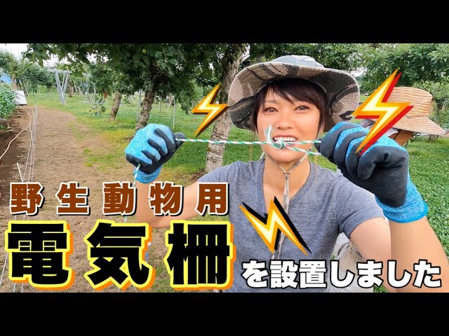 電気柵 ソーラー付きセットの内容を大公開（アニマルバスターNSD-200B