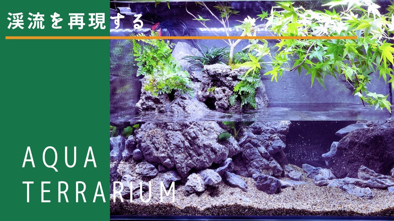 滝の流れるアクアテラリウム No.1122 滝の流れるアクアテラリウム No
