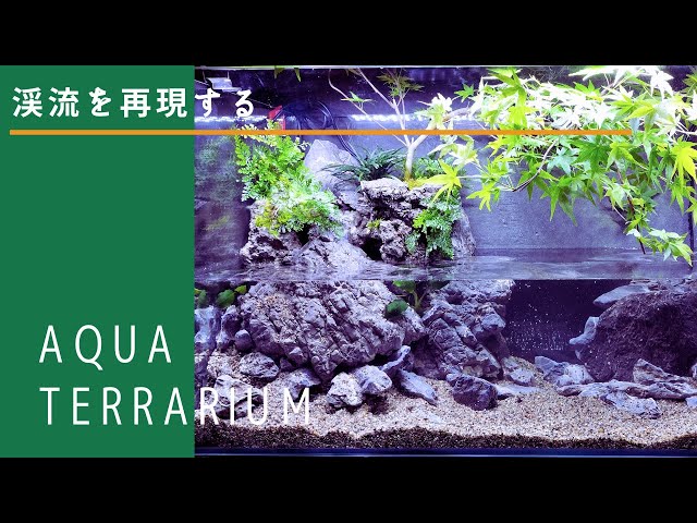 滝の流れるアクアテラリウム】渓流・紅葉・盆栽・苔…日本の美を