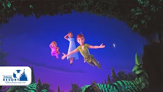 公式】ピーターパンのネバーランドアドベンチャー｜東京ディズニーシー