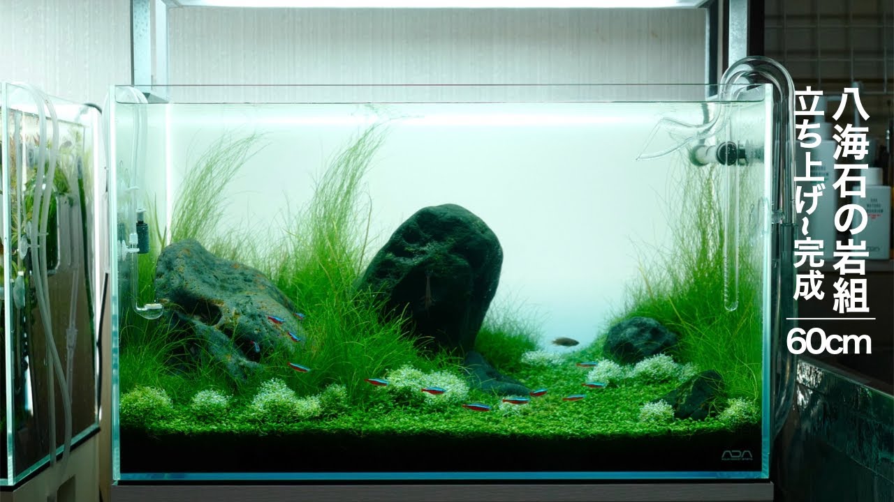 八海石で草原レイアウトを作る - YouTube