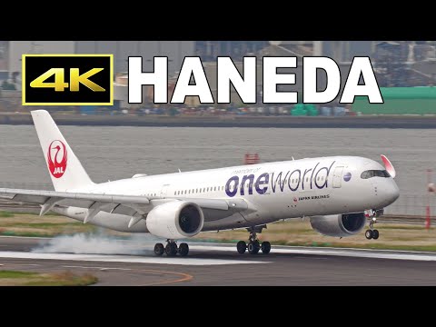 4K] JAL 