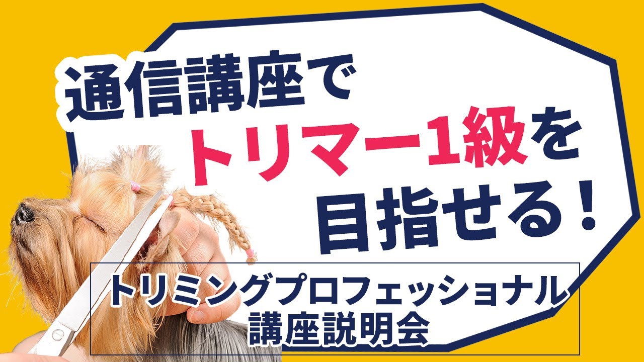 トリマープロフェッショナル講座 【ヒューマンアカデミー トリマー2級