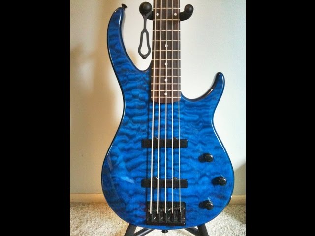 Peavey Millennium 5 String Bass Guitar Review By Scott Grove - YouTube