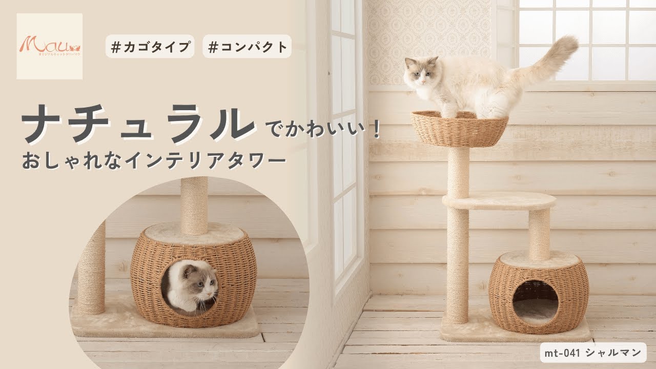 猫の日月間 2/1～2/28】キャットタワー シャルマン カゴハウス＆カゴ