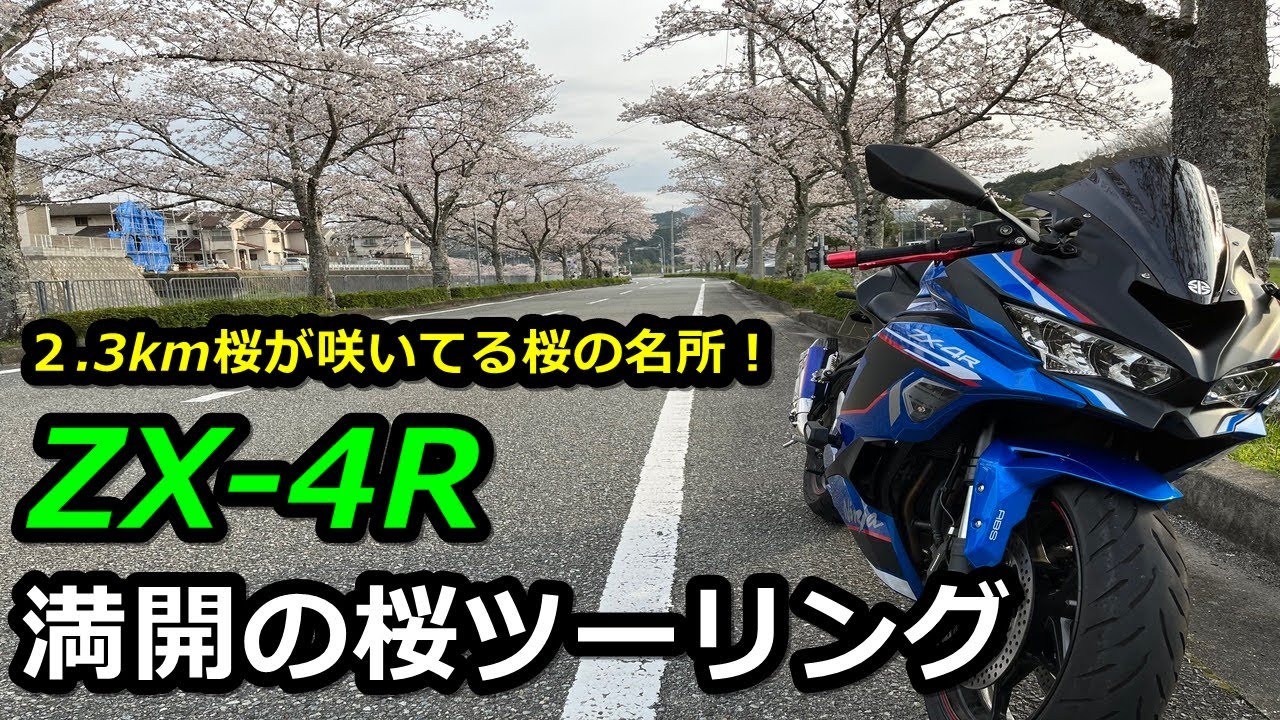 ZX-4R】関西お花見ツーリング！バイクに乗りながら満開の桜が楽しめる
